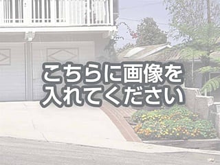 代替テキストをご記入ください