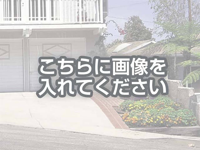 代替テキストをご記入ください