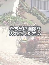 代替テキストをご記入ください