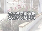 代替テキストをご記入ください