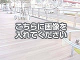 代替テキストをご記入ください