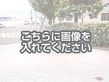 代替テキストをご記入ください