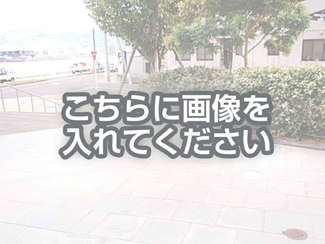 代替テキストをご記入ください