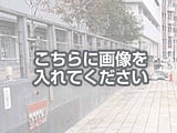 代替テキストをご記入ください