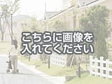 代替テキストをご記入ください