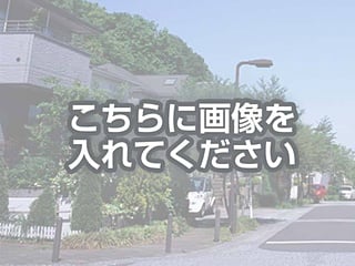 代替テキストをご記入ください