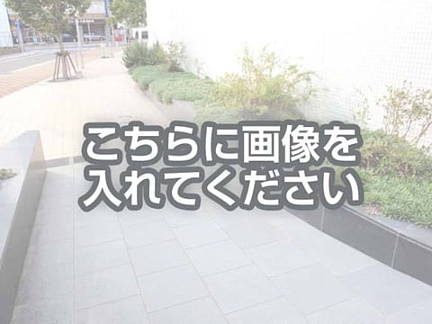 代替テキストをご記入ください